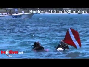 Diving Equipment & Marketing Association