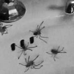 Specific Phobia